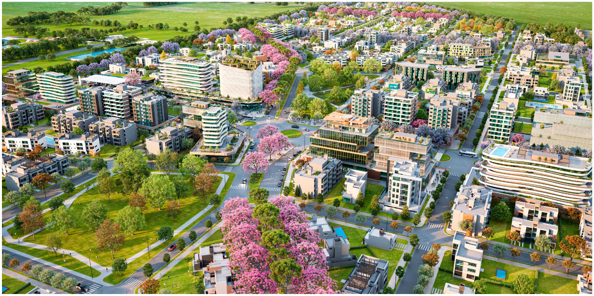 Mariapolis Desarrollo Urbano